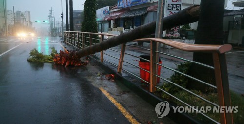 내일 출근·등교 비상… 태풍 '솔릭' 서울 근접 "오전 7시 예상"