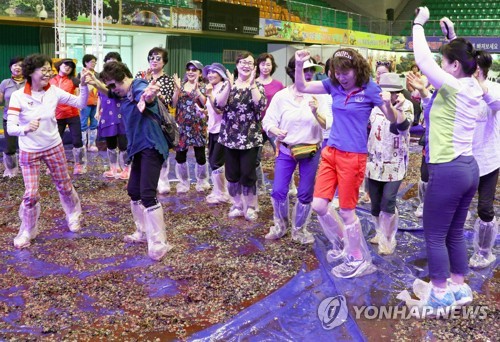 태풍 지나고 가을이 성큼…전국 유명 산·축제장 '인파'