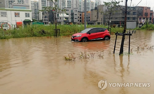 "폭염도 잘 견뎠는데"… 폭우로 오이농사 망친 농민 '허탈'