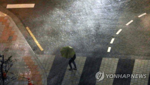한시간 75㎜ '기습 물폭탄' 서울 곳곳 물바다… 가로수도 '쾅쾅'