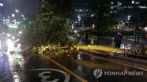 강력한 비구름, 럭비공처럼 국지성 호우… "상상도 못한 현상"