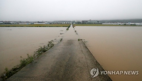 열차 중단·일부 학교 휴업… "퇴근길 수도권에 강한 비 예상"