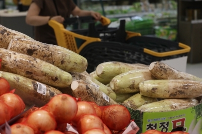 기록적 폭염에 채소값 폭등…추석 앞두고 밥상물가 '비상'