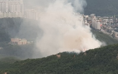 안양 삼성산 불…7시간 만에 큰불 잡아