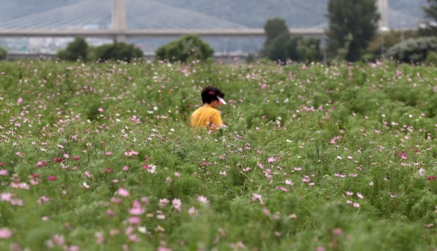 사진=연합뉴스