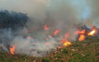 전주시내 야산서 산불 발생…진화 중