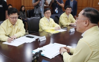 中 여행객 순대·만두서 검출된 아프리카 돼지열병 '확진'