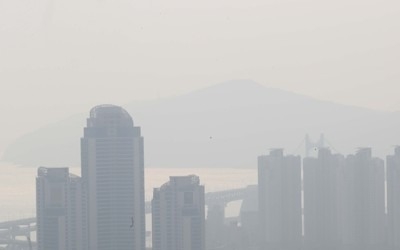 8·2 부동산대책 이후 부산 집값·거래량 하락세 뚜렷