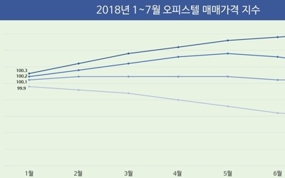 오피스텔도 서울은 '강세' 지방은 '약세'