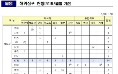 여신전문금융사 해외점포 아시아 비중 78%… 미얀마 1위