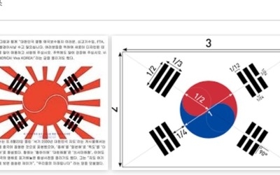 日 구글서 '태극기' 검색하면 전범기 합성된 국기 등장