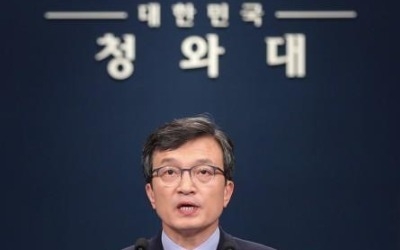 靑 "자영업자 세무조사 유예, 국민적 공감대 있다고 판단"