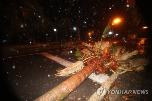 제주 강타한 '솔릭'…1명 실종·9개 공항 항공편 347편 결항