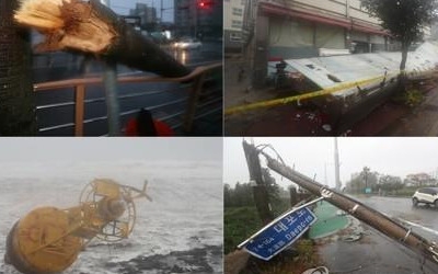 `솔릭' 상륙 임박… 뽑히고·끊기고·무너지고 피해 속출