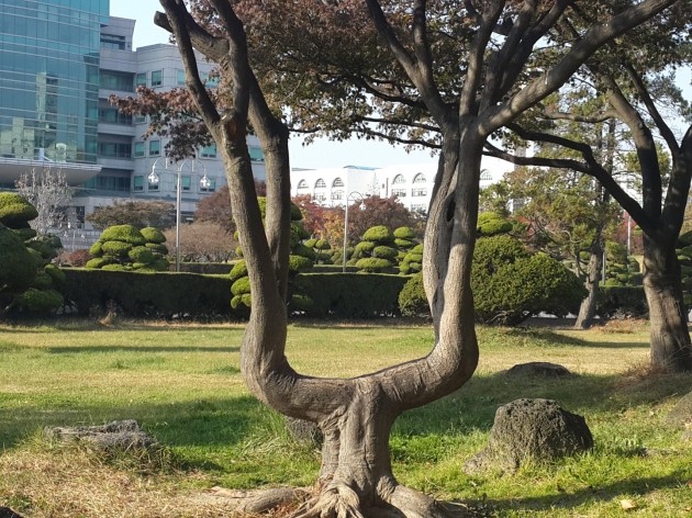 인하대 교정