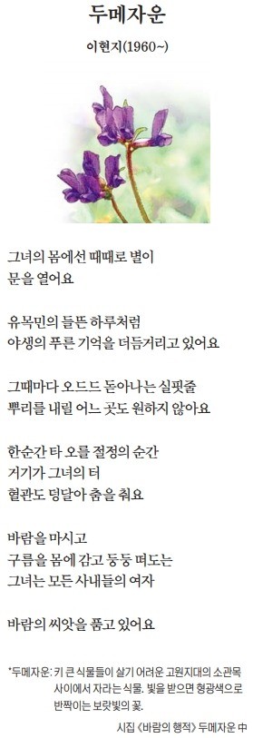 [이 아침의 시] 두메자운 - 이현지(1960~)