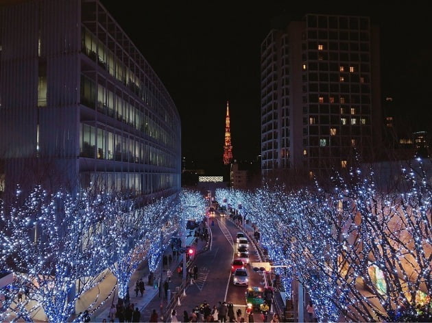 도쿄 미나토 구에 있는 롯폰기 일대 거리. 도쿄의 대표적인 일루미네이션 명소로 꼽힌다. 한경DB
