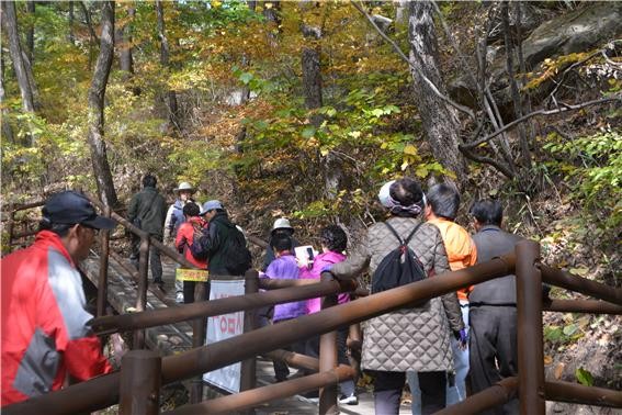 가야산국립공원사무소, 자연나누리 프로그램 운영