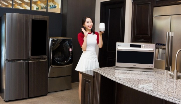 구글 어시스턴트를 통해 한국어로 연동되는 LG전자 가전은 세탁기, 건조기, 스타일러, 에어컨, 공기청정기, 냉장고, 광파오븐, 로봇청소기 등 8종이다.