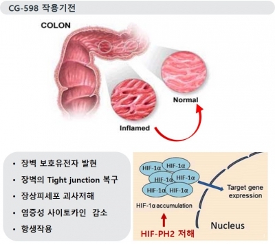 크리스탈지노믹스, 염증성장질환 신약후보 발굴