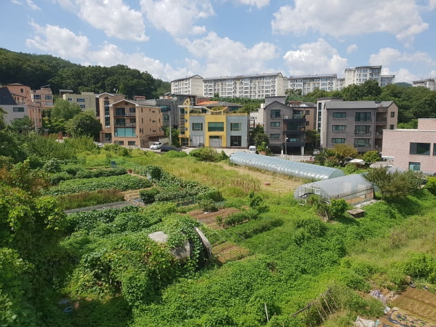 개발제한구역(그린벨트)로 지정된 서울 강남구 세곡동 일대.  서닉 카지노DB