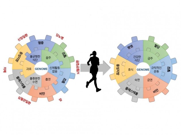 사용자 참여형 빅데이터 기반의 건강 위험도 예측 및 관리 서비스 설명도. 테라젠이텍스 제공