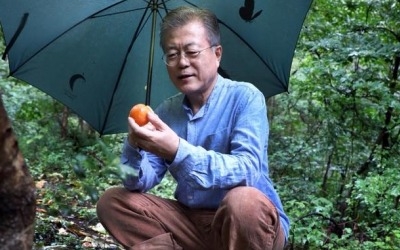 문재인 대통령 우중산책, 靑 "양산 사저에서 휴식 중"