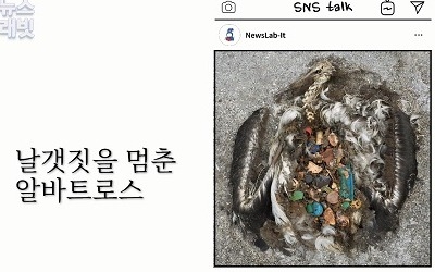 [좋행일치] 거북이 죽는 건 '화나요'…플라스틱 빨대는 '좋아요'?