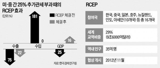 "RCEP 참여, 美·中 무역전쟁 충격 완화시킬 것"