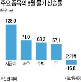 채소값 뛰는데… 물가는 11개월째 1%대