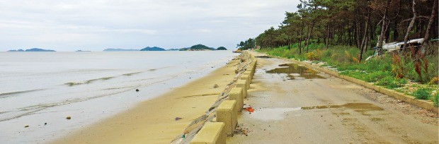 대광해변 해안도로. 