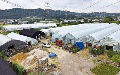 "새집 넘치는 곳에 또 공급 폭탄… 안산 주택시장 초토화될 것"