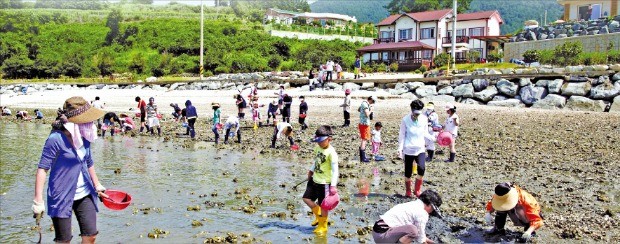 해바리마을 인기 체험 프로그램인 갯벌생태체험. /한국농어촌공사 제공 