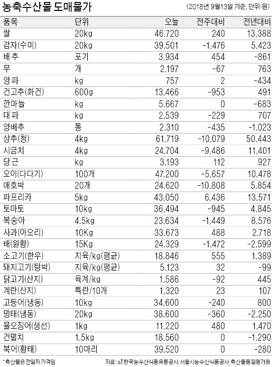 [농수산물 시세] 배추·시금치 등 채소값 진정세