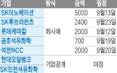 실적 좋아진 정유·화학기업… 이달 회사채로 1.2조 조달