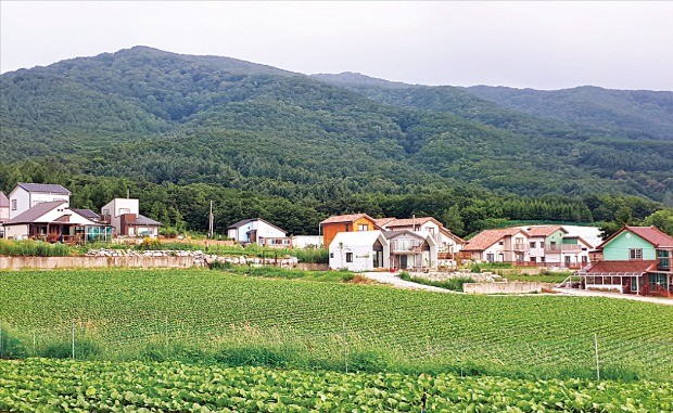 부동산 전문가들은 명절에 시간을 내 고향 부동산을 점검하라고 조언한다. 한경DB