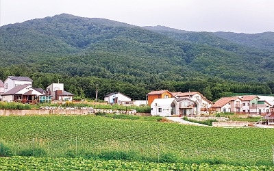 宗中 부동산 소유권 분쟁 휘말리기 前, 친인척 공동명의로 돌려놔야