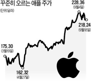 트럼프 관세도 비켜간 '大馬 애플'