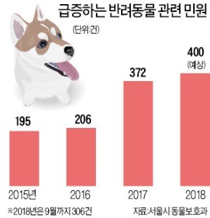 규제 사각 '펫 시터'… 연휴 잠 못드는 주민들