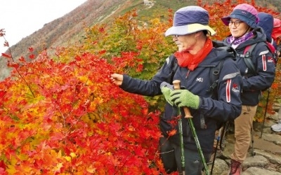 어느새 '단풍 옷' 입은 설악산