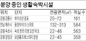 청약 필요 없고 전매 가능… 틈새형 '생활숙박시설' 각광