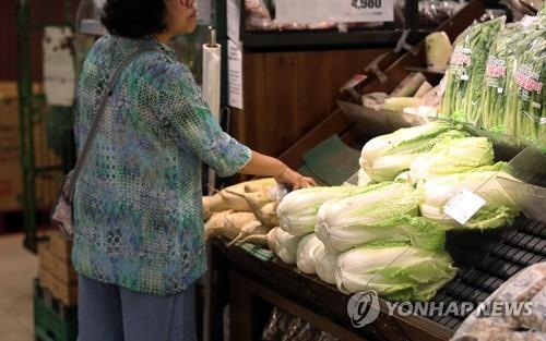 추석 물가 불안… 배추·무 가격 일주일새 10% 안팎 상승