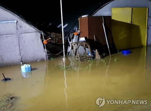 대전·세종·충남에 폭우… 다리 끊기고 도로 침수