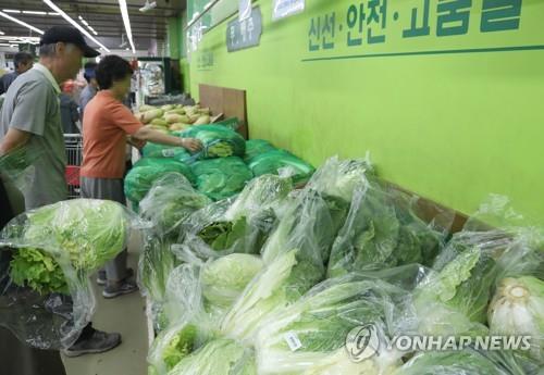 배춧값·뭇값 9월도 '고공행진'… 추석물가 '빨간불'