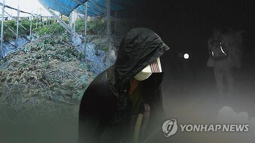 폭염·폭우에 몸값 급등한 농산물… 절도범 기승