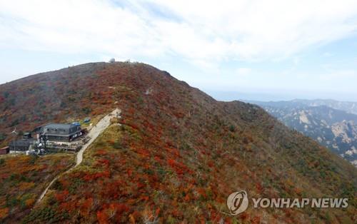 설악산사무소, 가을 성수기 불법·무질서행위 집중단속