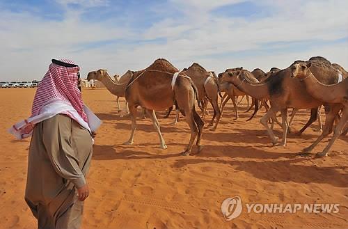 '메르스 본산' 중동 여전히 주의해야… 사우디선 9월에도 사망