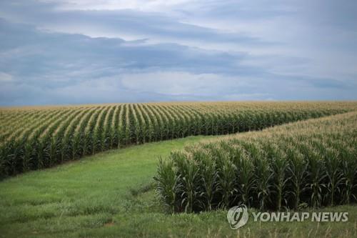 '트럼프 관세 막아라'…美산업계, 관세반대 총력전 돌입