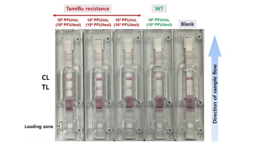 타미플루 안 듣게 하는 '돌연변이 바이러스' 신속 검출