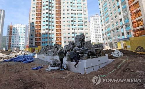 붉은불개미 800여마리 대구서 발견…"결혼비행 가능성 안 커"